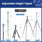 Fotopro 59" Carbon Fiber Travel Tripod, Compact Camera Tripod with Metal Ball Head, Detachable Monopod with Quick Release Plate and Bag, Load up to 8KG/17.63lbs - Image 6