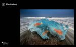 Bryan Peterson Photography School: A Master Class in Creating Outstanding Images - Image 8