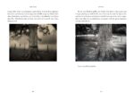 Art Work: On the Creative Life - Image 9