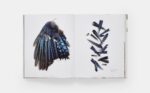 STILL: The Art of Noticing - Image 6