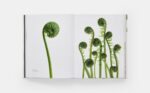 STILL: The Art of Noticing - Image 5