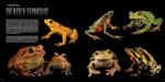 National Geographic The Photo Ark Vanishing: The World's Most Vulnerable Animals - Image 8