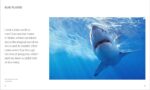 Photographers on the Art of Photography - Image 4