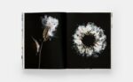 STILL: The Art of Noticing - Image 4