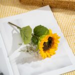 Birthday Gifts for Women, Self-Care Gift Box for Women - Sunshine & Sunflower Themed Relaxation Set, Encouragement Care Package for Best Friend (Birthday/Get Well/Thinking of You) - Image 10