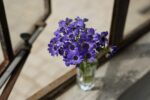 Sony - FE 50mm F1.8 Standard Lens (SEL50F18F/2) - Image 6