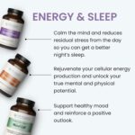 The Wellness Company Mind Lift | 60 Capsules (1 Month Supply) | with Ashwagandha, DHA, and GABA | Non-GMO, Gluten-Free | Stress Management - Image 7