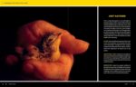 National Geographic Photo Basics: The Ultimate Beginner's Guide to Great Photography - Image 16