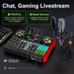 G10 DJ & Podcast Equipment Bundle, Audio Interface with Cardioid Designer P15 Mic for Gamer and All-in-One DJ Mixer, Perfect for Live Streaming, Singing, YouTube, Gaming - Image 6