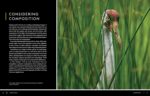 National Geographic Photo Basics: The Ultimate Beginner's Guide to Great Photography - Image 7