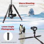 Camera Tripod, 80" Aluminum Heavy Duty Camera Tripod Stand with 360° Ball Head, Phone Holder & Carry Bag, Professional Camera Tripods & Monopods for Camera, Phone, 34lb Max Load - Image 7