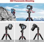 Camera Tripod, 80" Aluminum Heavy Duty Camera Tripod Stand with 360° Ball Head, Phone Holder & Carry Bag, Professional Camera Tripods & Monopods for Camera, Phone, 34lb Max Load - Image 8