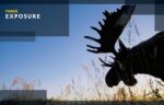 National Geographic Photo Basics: The Ultimate Beginner's Guide to Great Photography - Image 9