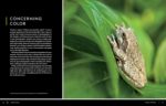 National Geographic Photo Basics: The Ultimate Beginner's Guide to Great Photography - Image 18