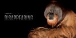 National Geographic The Photo Ark Vanishing: The World's Most Vulnerable Animals - Image 3