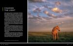 National Geographic Photo Basics: The Ultimate Beginner's Guide to Great Photography - Image 13