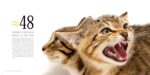 National Geographic The Photo Ark Vanishing: The World's Most Vulnerable Animals - Image 6