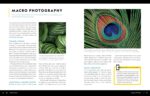 National Geographic Photo Basics: The Ultimate Beginner's Guide to Great Photography - Image 19