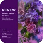 OLLY Renew Body Wash with Vitamin D, Retinol & Botanicals – Nourishing Cleanser for Skin Barrier Repair, Deep Hydration, Jasmine Bergamot Scent, 17oz - Image 4