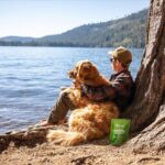 Zesty Paws OraStix for Dogs - Calming Dental Sticks for Stress with Hemp Melatonin Chamomile Dog Healthy Teeth and Gums Calm Composure for Fireworks and Thunderstorms - 25oz - Image 9