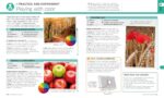 Digital Photography Complete Course: Learn Everything You Need to Know in 20 Weeks (DK Complete Courses) - Image 7