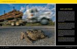 National Geographic Photo Basics: The Ultimate Beginner's Guide to Great Photography - Image 5