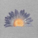Life is Good Women's Crusher Tee, Short Sleeve Cotton Graphic T-Shirts, Watercolor Daisy Birds - Image 3