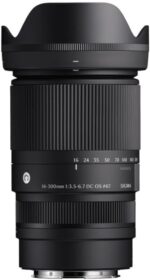 Sigma 16-300mm F3.5-6.7 DC OS | Contemporary Lens for L-Mount - Image 3