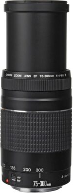 Canon EF 75-300mm f/4-5.6 III Telephoto Zoom Lens for Canon SLR Cameras - Image 5