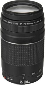 Canon EF 75-300mm f/4-5.6 III Telephoto Zoom Lens for Canon SLR Cameras - Image 2