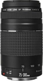 Canon EF 75-300mm f/4-5.6 III Telephoto Zoom Lens for Canon SLR Cameras - Image 4