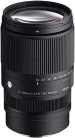 16-300mm F3.5-6.7 DC OS | Contemporary - Image 4