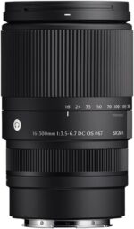 16-300mm F3.5-6.7 DC OS | Contemporary - Image 3