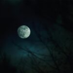16-300mm F3.5-6.7 DC OS | Contemporary - Image 8